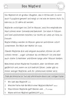 Vorschau - Arbeitsblätter - Leseverständnis | Spannende Tiere | Differenzierte Aufgaben - Seite 3