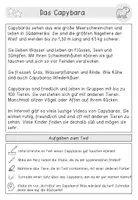 Vorschau - Arbeitsblätter - Leseverständnis | Spannende Tiere | Differenzierte Aufgaben - Seite 2