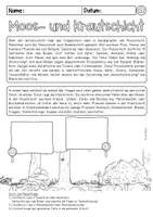 Vorschau - Arbeitsblätter - Stockwerke des Waldes - Seite 3