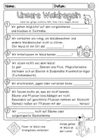Vorschau - Arbeitsblätter - Waldexkursion (Vorbereitung, Nachbereitung, Regeln, Gefahren) - Seite 2