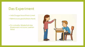Vorschau - Arbeitsblätter - Experiment: Die eigene Reaktionszeit messen (freier Fall) - Seite 3