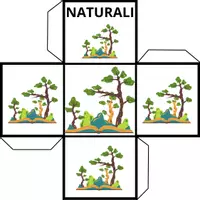 anteprima - Materiale di supporto/inclusione - Materiali NATURALI/ARTIFICIALI e verifica con immagini - Pagina 1