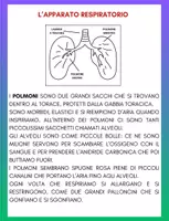 anteprima - Esercizi - IL SUPER QUADERNO DI SCIENZE cl.5 – L’Apparato respiratorio - Pagina 3