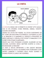 anteprima - Esercizi - IL QUADERNO DI SUPER SCIENZE cl.5 – Gli organi di senso - Pagina 3