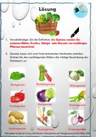 Vorschau - Arbeitsblätter - Gemüsekiste: Arbeitsblätter zum Thema Gemüse - Seite 1
