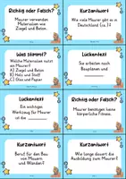 Vorschau - Arbeitsblätter - Maurer MEGABUNDLE Materialpaket - Wissenskartei, Lückentext, Steckbrief, Suchsel, Quizkarten - Seite 3