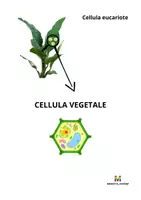 anteprima - Esercizi - SCIENZE la cellula - Pagina 2