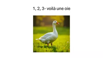 Vorschau - Präsentationen/Tafelbilder - Zahlen von 1-12 mit einem Kindervers erlernen - Seite 1