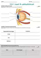 Vorschau - Arbeitsblätter - Test Sinne und Wahrnehmung (inkl. interaktivem Quiz) - Deckblatt
