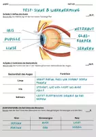 Vorschau - Arbeitsblätter - Test Sinne und Wahrnehmung (inkl. interaktivem Quiz) - Seite 2
