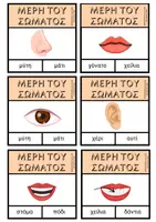 Προεπισκόπηση - Flashcards - Μέρη του ανθρώπινου σώματος - Εξώφυλλο