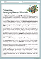 Vorschau - Arbeitsblätter - Folgen des demographischen Wandels - Seite 2