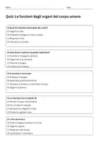 anteprima - Quiz - Descrivere la funzione di ciascun organo - Pagina 1