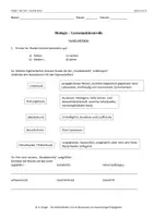 Vorschau - Arbeitsblätter - klassenarbeit-hund-und-katze - Seite 3