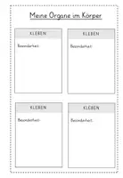 Vorschau - Arbeitsblätter - Organe: Arbeitsblatt zum Klappen - Seite 3