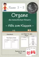 Vorschau - Arbeitsblätter - Organe: Arbeitsblatt zum Klappen - Deckblatt
