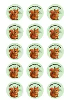 Vorschau - Poster - Willkommen zurück 2. 3. 4. Eichhörnchen - Seite 2