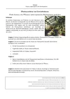 Vorschau - Arbeitsblätter - Übung zur Photosynthese - Seite 2