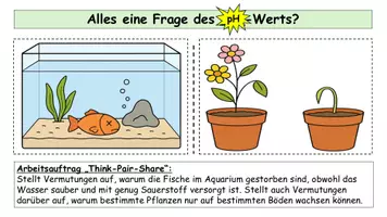 Vorschau - Arbeitsblätter - pH-Wert und Indikatoren - Interaktive Unterrichtsstunde mit Simulation, Arbeitsblatt und Lösungen: sofort einsetzbar - Seite 3