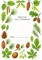 Vorschau - Arbeitsblätter - Arbeitsheft Laub- und Nadelbäume - Seite 1