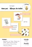 Vorschau - Spiele - Nimm zwei! Zum Thema "Pflanzen des Waldes" (differenziert) - Deckblatt