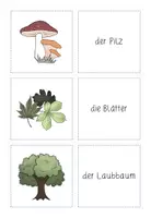 Vorschau - Spiele - Nimm zwei! Zum Thema "Pflanzen des Waldes" (differenziert) - Seite 1