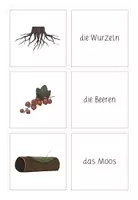 Vorschau - Spiele - Nimm zwei! Zum Thema "Pflanzen des Waldes" (differenziert) - Seite 3