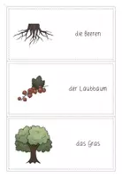 Vorschau - Spiele - Domino zum Thema "Pflanzen des Waldes" (differenziert) - Seite 2