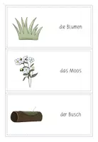Vorschau - Spiele - Domino zum Thema "Pflanzen des Waldes" (differenziert) - Seite 3