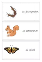 Vorschau - Spiele - Domino zum Thema Waldtiere (differenziert) - Seite 3