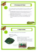 Vorschau - Aufgabenkarten - Schmetterlingsprojekt - Von der Raupe zum Schmetterling - Seite 2