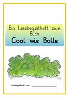 Vorschau - Unterrichtsreihen - „Cool wie Bolle“ Materialpaket Differenzierung - Seite 1
