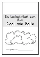 Vorschau - Unterrichtsreihen - „Cool wie Bolle“ Materialpaket Differenzierung - Seite 2