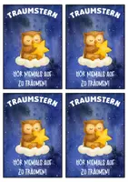 Vorschau - Anderer Materialtyp - Eulenklasse Motivationskärtchen mit Traumstern - Seite 2