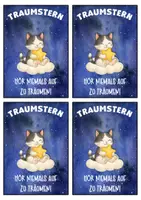 Vorschau - Anderer Materialtyp - Katzenklasse Motivationskärtchen mit Traumstern - Seite 2