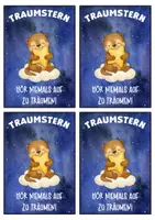 Vorschau - Anderer Materialtyp - Otterklasse Motivationskärtchen mit Traumstern - Seite 2