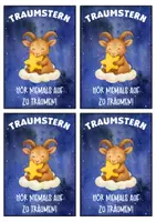 Vorschau - Anderer Materialtyp - Steinbockklasse Motivationskärtchen mit Traumstern - Seite 2