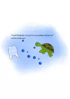 anteprima - Altro tipo di materiale - Nell’oceano con Arturo e Lampo - Pagina 2