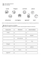 Voorbeeld - Frans: Les adjectifs - fiches de travail - Voorblad