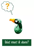 Voorbeeld - Zelfsturing geluksvogels - Voorblad