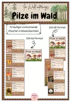 Vorschau - Fördermaterial/Inklusion - Pilze im Wald - Wissenskarteien - Deckblatt