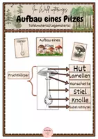 Vorschau - Spiele - Pilze im Wald: Aufbau eines Pilzes - Tafelmaterial/Legematerial - Deckblatt