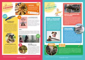 Aperçu - Autre type de ressources - Mon-journal-animal-#20 - Page 2