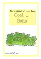 Vorschau - Unterrichtsreihen - "Cool wie Bolle" Materialpaket - Seite 1