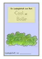 Vorschau - Unterrichtsreihen - "Cool wie Bolle" Materialpaket - Seite 2