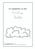 Vorschau - Unterrichtsreihen - "Cool wie Bolle" Materialpaket - Seite 3