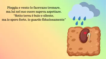 anteprima - Presentazioni / Lavagne - La speranza del semino - Pagina 3