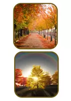 Vista previa - Decoración del aula - Cuerda de la belleza de otoño - página 3