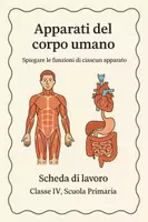 anteprima - Schede informative - Spiegare le funzioni di ciascun apparato - SL - Pagina di copertina