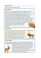 Vorschau - Arbeitsblätter - Animals in Canada - Seite 1